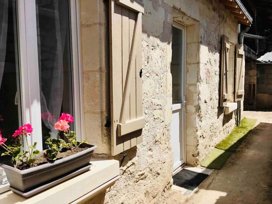Logement Neuf Et Cosy Proche Centre Ville Chinon Exterior foto